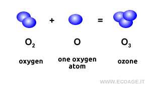 The ozone molecule
