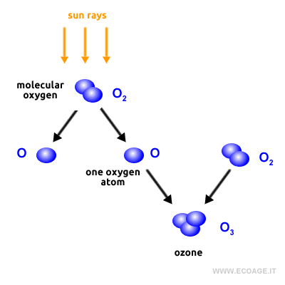 The formation of ozone