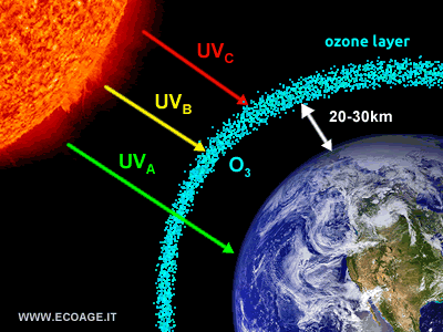 The ozonosphere absorbing UV rays